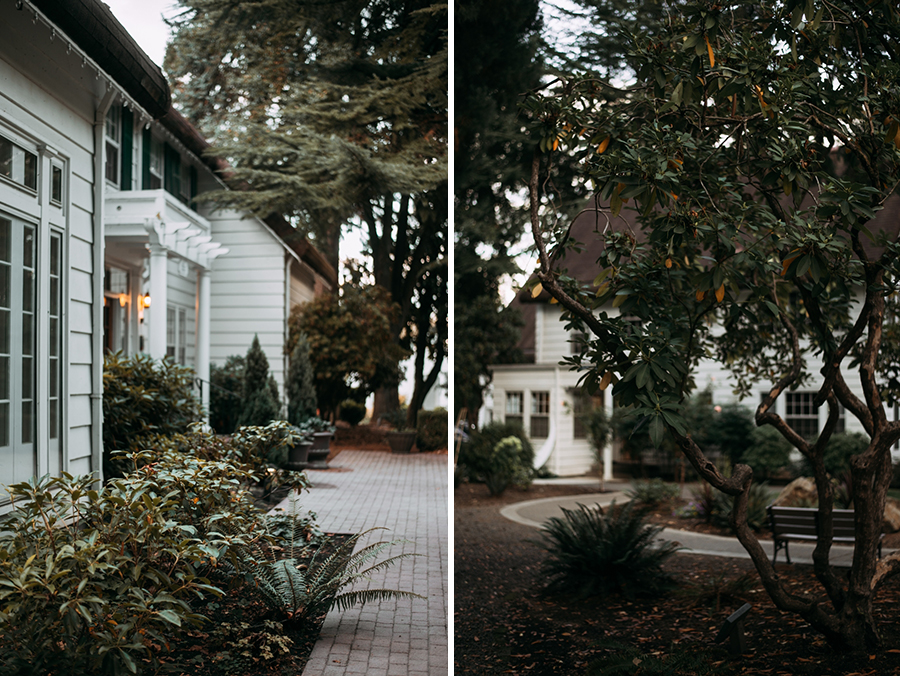 adriana+sam+radubenjamin_002